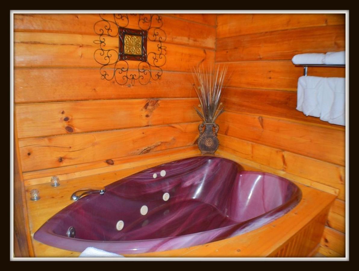 פיג'ן פורג' Priscilla Heights Lane Cabin 3301 מראה חיצוני תמונה